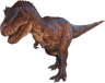 Couple Rex — Reproduction